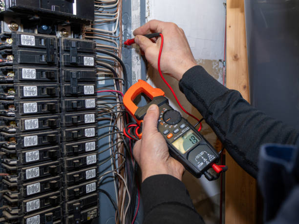 Best Electrical Troubleshooting Services  in Union Springs, NY
